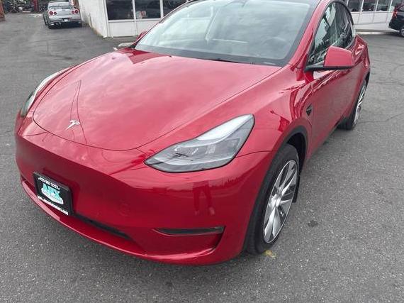 TESLA MODEL Y 2022 7SAYGAEE7NF533628 image